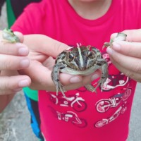 古民家再生ワークショップ