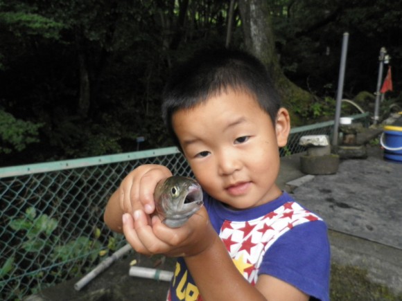 o0800060012141240074