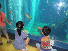 t02200165_0800060012159434136